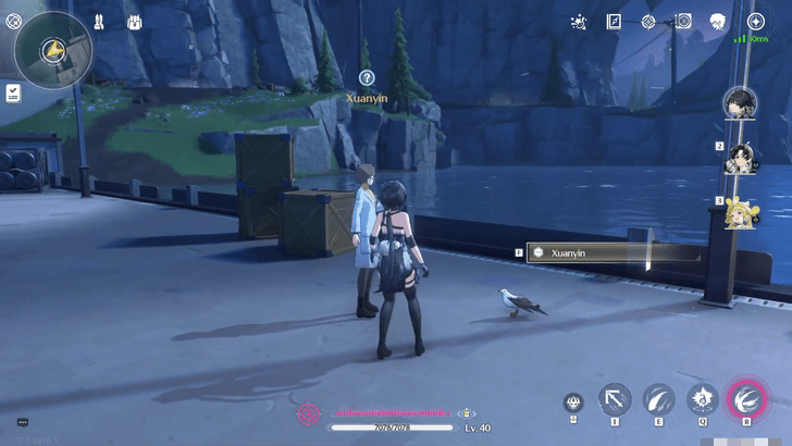 Wuthering Waves - Translation of Bird