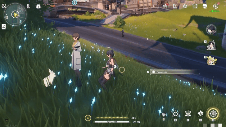 Wuthering Waves - Translation of Rabbit