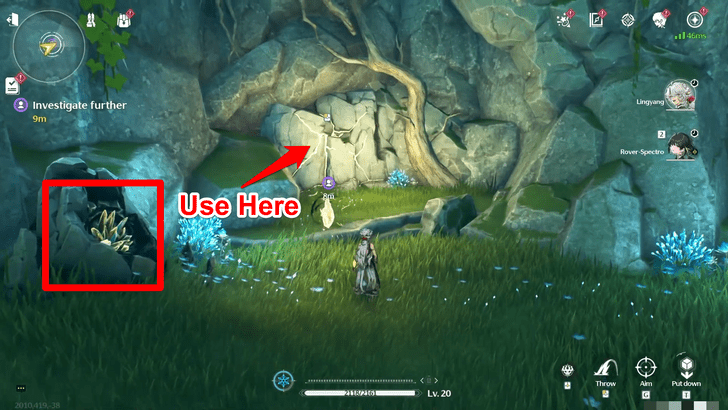 Wuthering Waves - Wild Heart