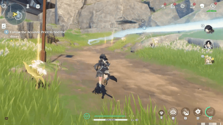 Wuthering Waves - Translation of Bird