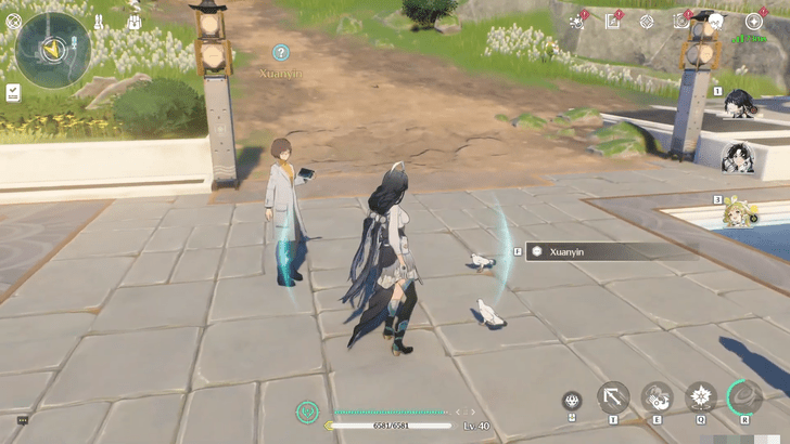 Wuthering Waves - Translation of Bird