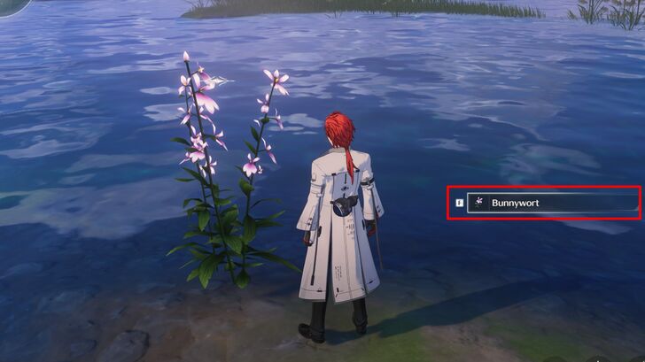 Wuthering Waves - Pick Up Item