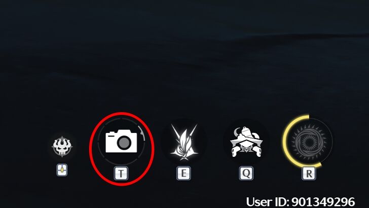 Wuthering Waves - Camera set to Utility