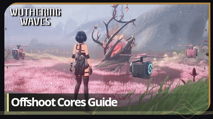Offshoot Cores Guide