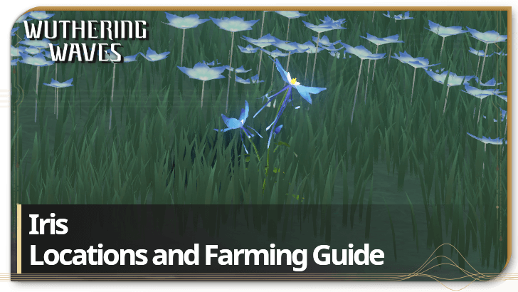 Iris Locations and Farming Guide