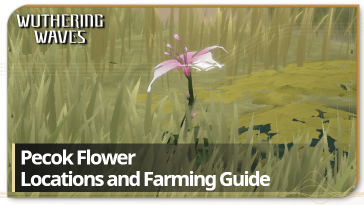 Pecok Flower Locations and Farming Guide