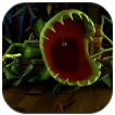 Flytrap Image