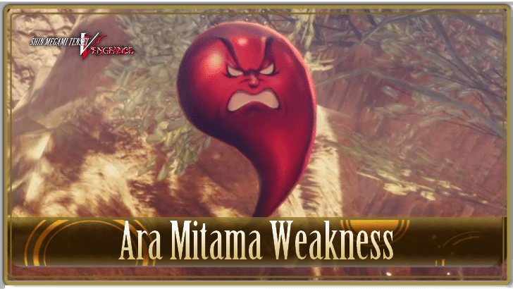 SMT V Vengeance - Ara Mitama Weakness