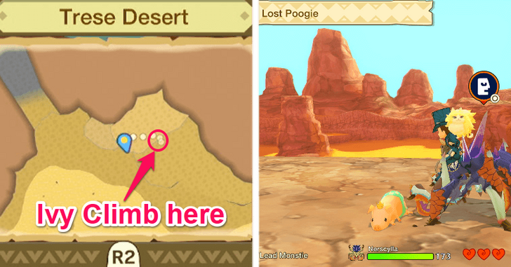 Monster Hunter Stories - Poogie 20