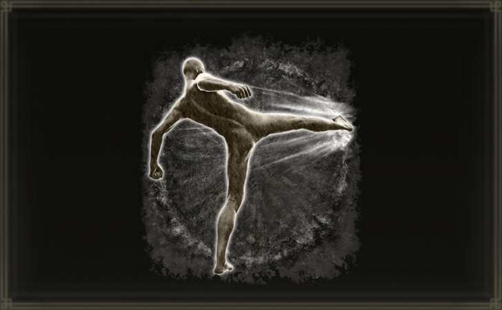 Elden Ring Kick