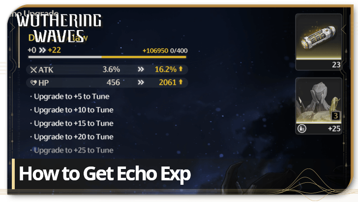 Wuthering Waves - How to Get Echo EXP
