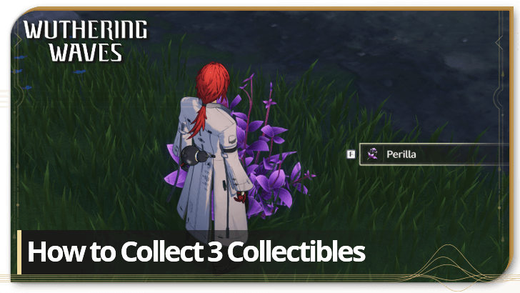 Wuthering Waves - How to Collect 3 Collectibles