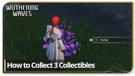 How to Collect 3 Collectibles | Wuthering Waves (WuWa)｜Game8