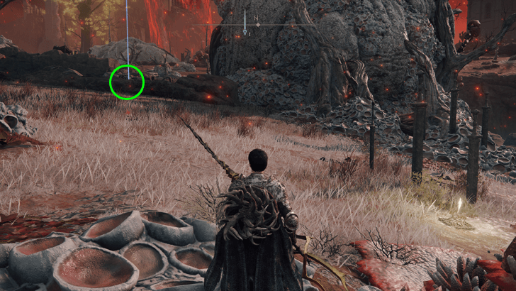 Elden Ring - Lifesteal Fist Ash of War World View