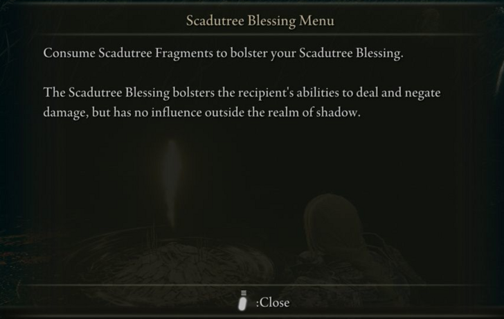 Scadutree Fragments - Increases Attack Power and Damage Negation
