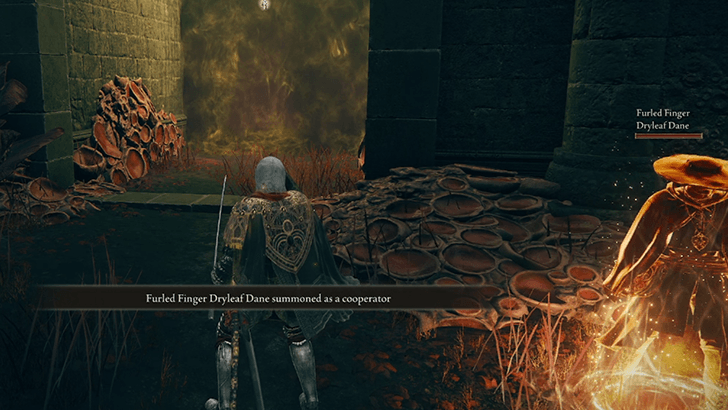 Elden Ring - Dryleaf Dane Gold Summon for Romina