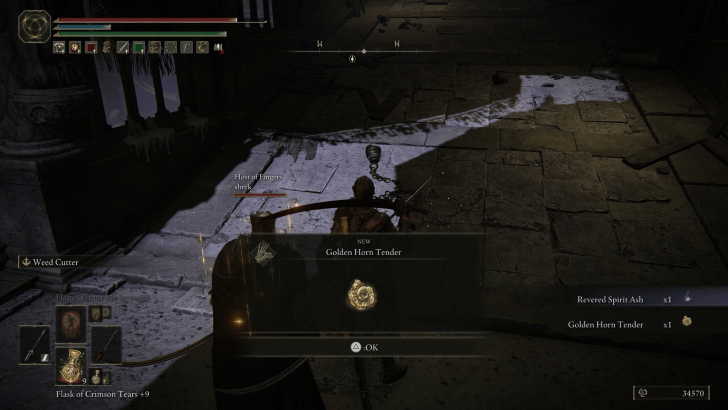 Revered Spirit Ash Location