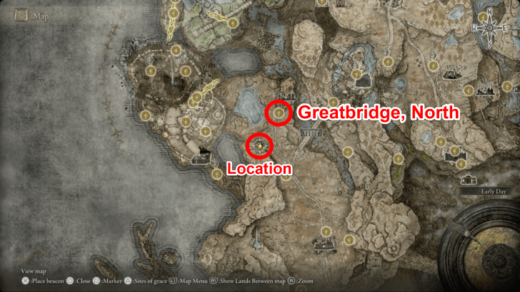 Elden Ring - Savage Lion