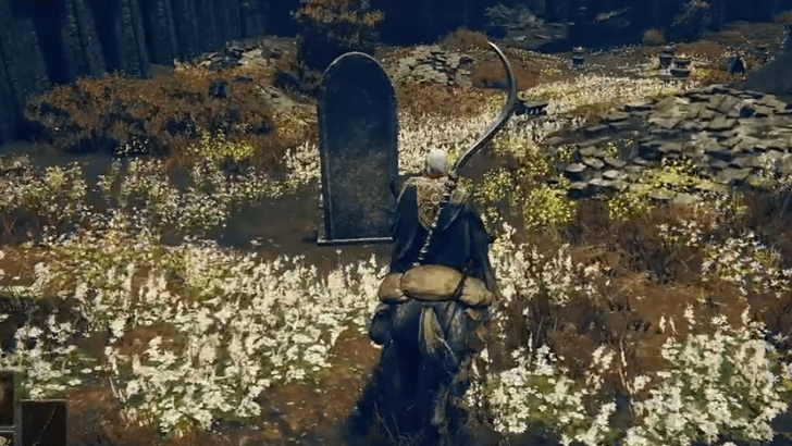 Elden Ring - Ruins of Unte Altar World View