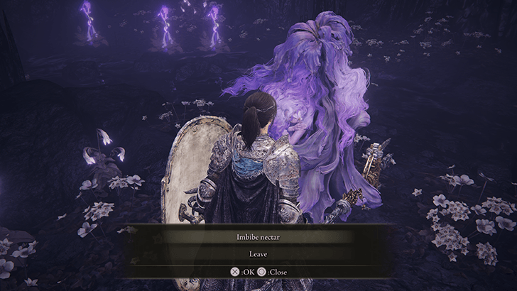 Elden Ring - St. Trina Imbibe Nectar