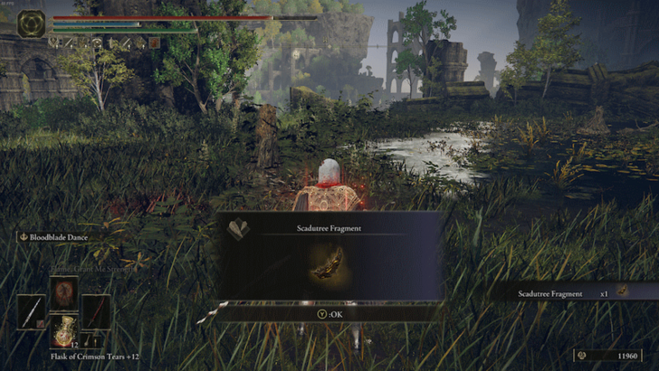 Scadutree Fragment Location