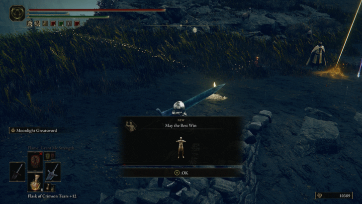 Elden Ring - May the Best Win World View