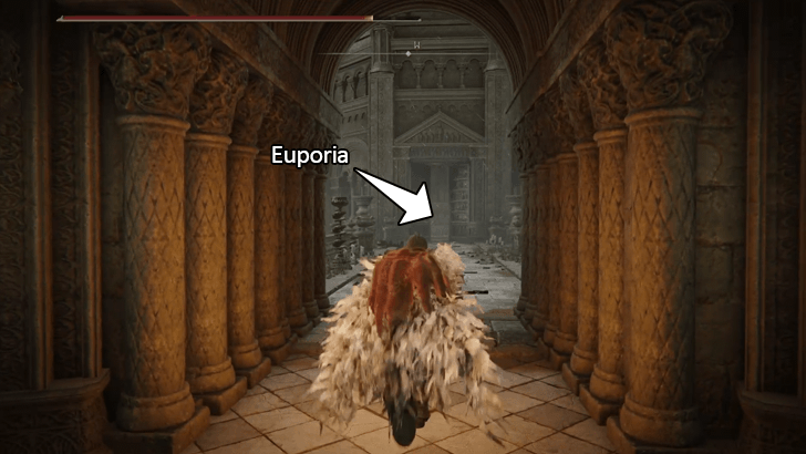 Euporia - Bridge to Last Room