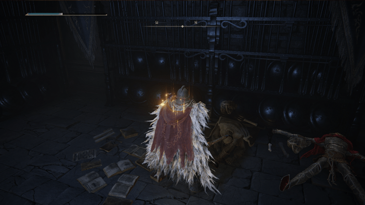 Elden Ring - Carian Thrusting Shield World View