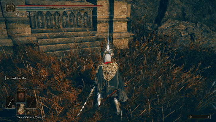 Elden Ring - Gravebird Armor World View