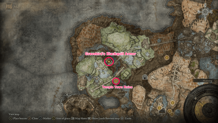 Elden Ring - Gravebird