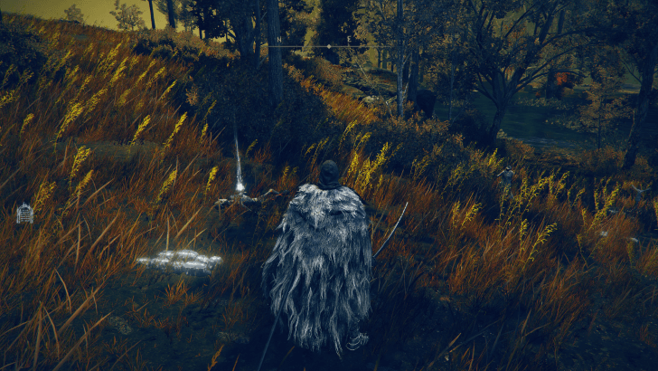 Elden Ring - Leather Crown World View