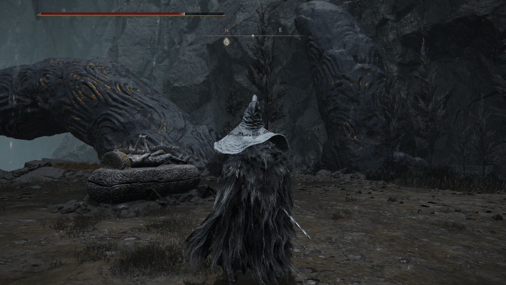 Duplicate Remembrances - Finger Ruins of Rhia World View