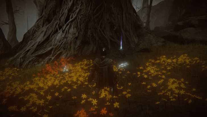 Elden Ring - Mad Craftsman Cookbook 2 World Location