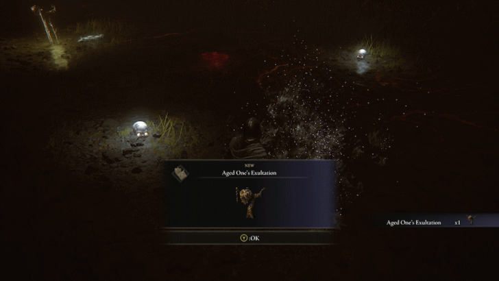 Elden Ring - Aged One