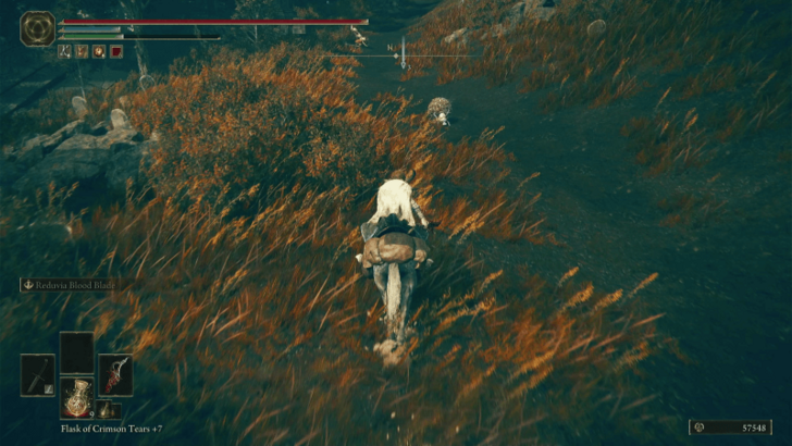 Elden Ring - Rauh Base Somber Smithing Stone 7 World Location