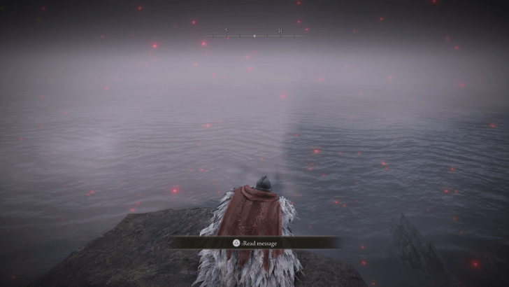 Elden Ring - Gravebird Helm World View