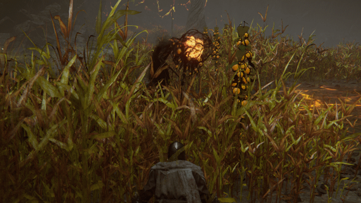 Elden Ring - Crouch on Tall Grass to Avoid Detection
