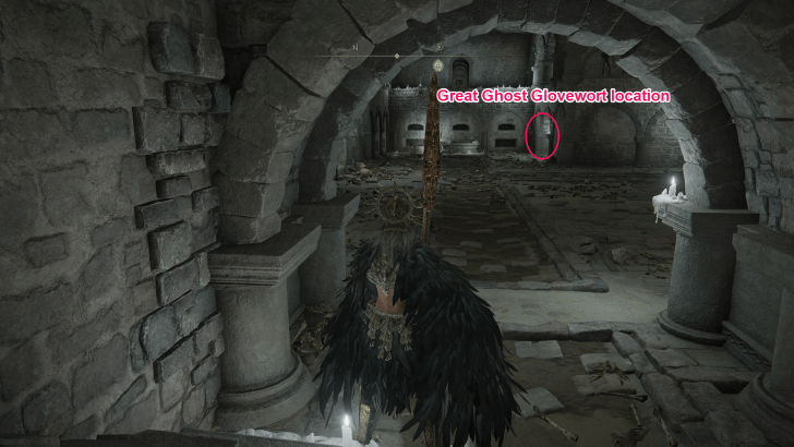 Great Ghost Glovewort Location