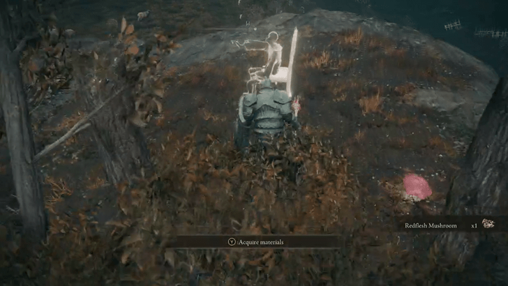 Elden Ring - Serpent Crest Shield Enemy Drop World View