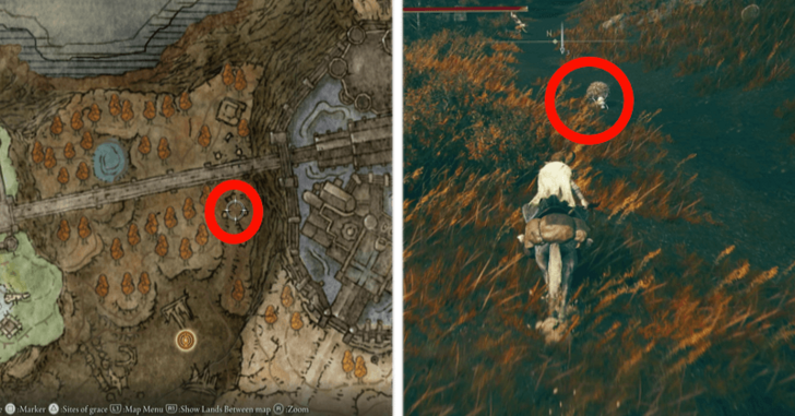 Somberstone 7 Location - From Teardrop Scarab North of Ancient Ruins Base