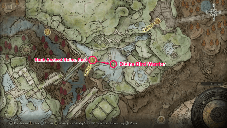 Elden Ring - Divine Bird Warrior Gauntlets World View