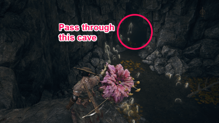 Elden Ring - Pass through Ellac River Cave