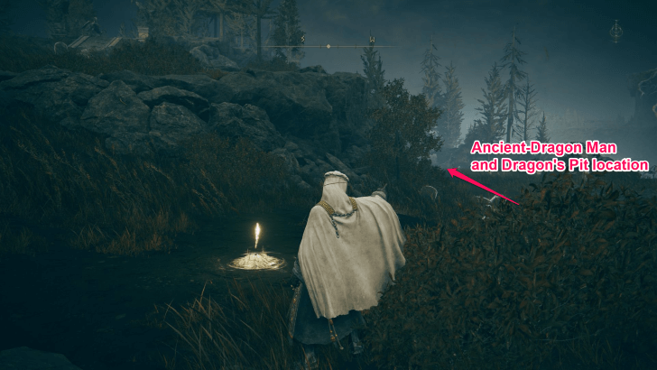 Elden Ring - Defeat Ancient Dragon-Man and enter Dragon