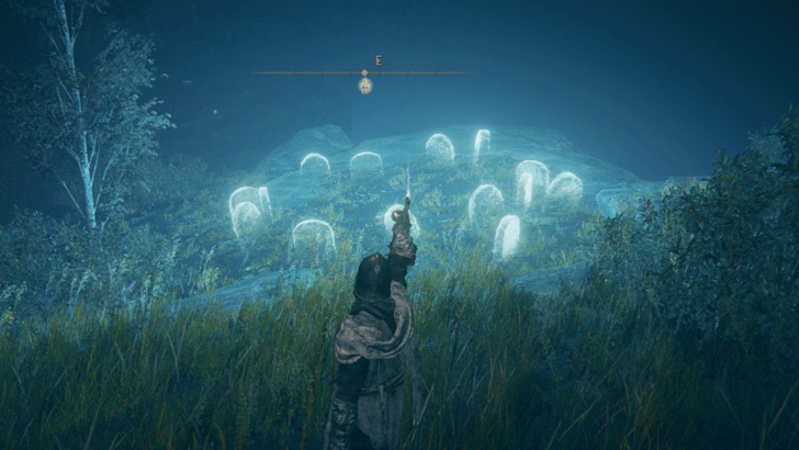 Elden Ring - Temple Town Ruins Larval Tear World View