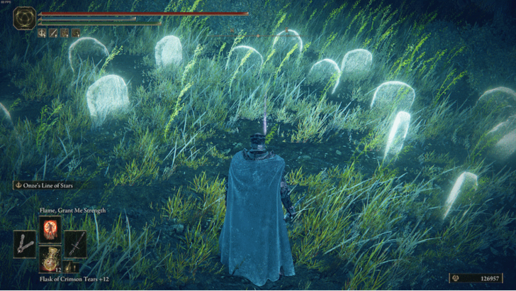 Elden Ring - Highroad Cross Larval Tear World View