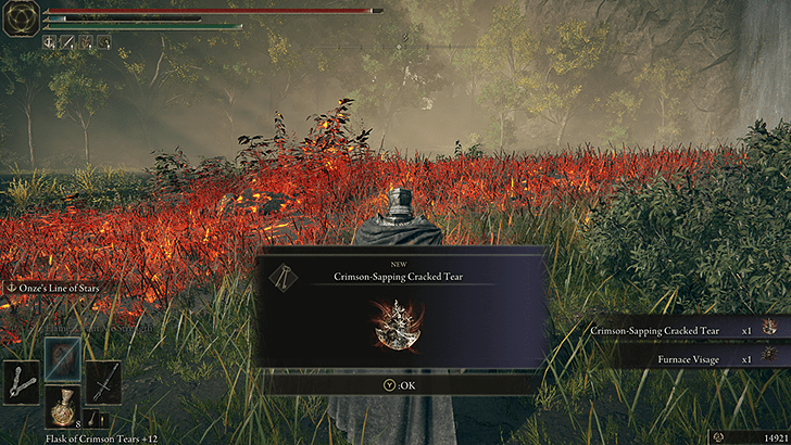 Elden Ring - Crimson-Sapping Cracked Tear World View