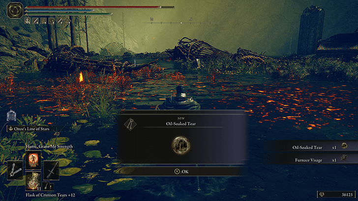 Elden Ring - Oil-Soaked Tear World View