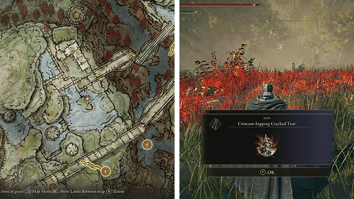 Elden Ring - Crimson-Sapping Cracked Tear Map View