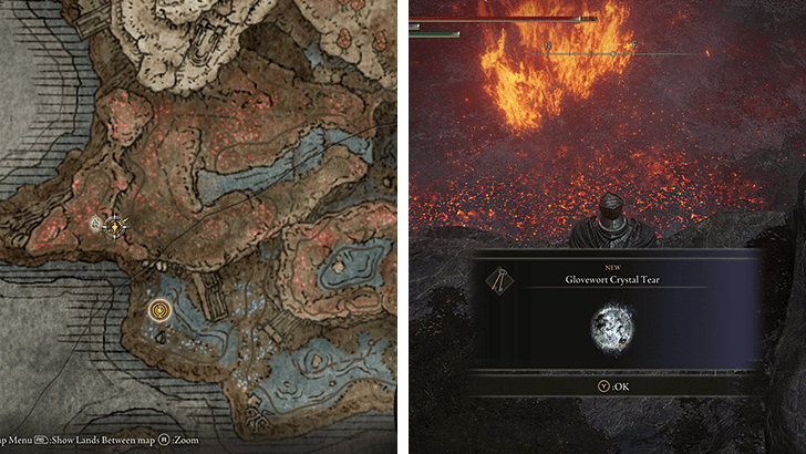 Elden Ring - Glovewort Crystal Tear Map View