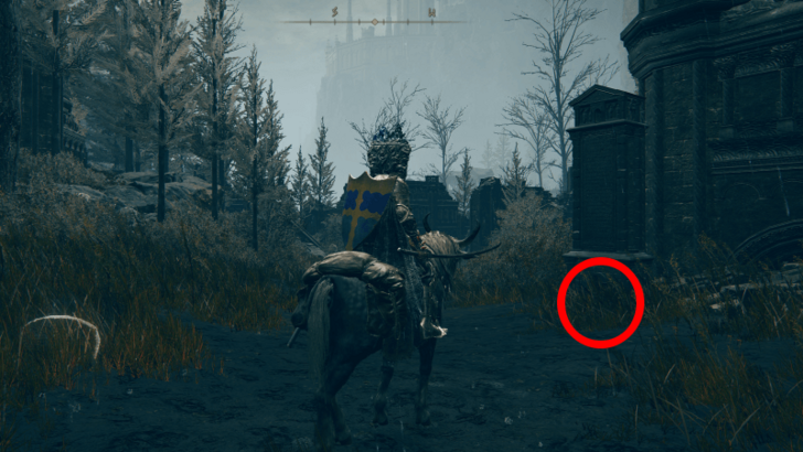 Find Map Fragment Past Ancient Ruins Base Site of Grace